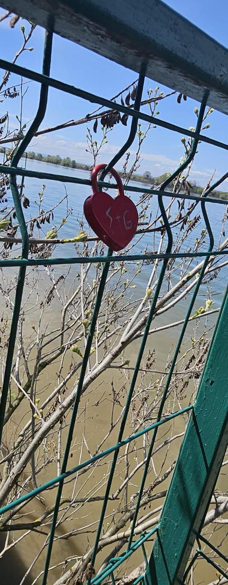 Danube Home Ostrovu Corbului Eksteriør bilde